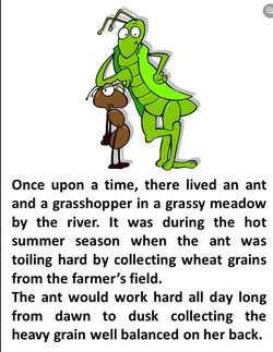 hilokal-notebook-image