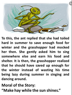 hilokal-notebook-image