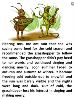 hilokal-notebook-image