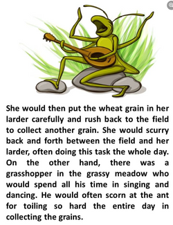 hilokal-notebook-image