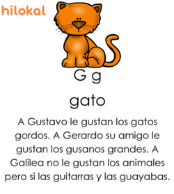 hilokal-notebook-image