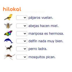 hilokal-notebook-image