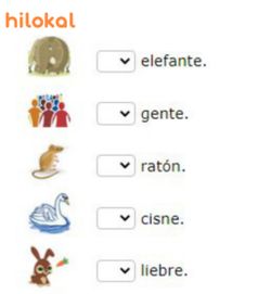 hilokal-notebook-image