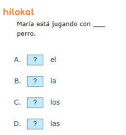 hilokal-notebook-image