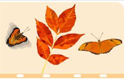 hilokal-notebook-image