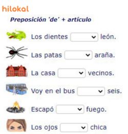 hilokal-notebook-image