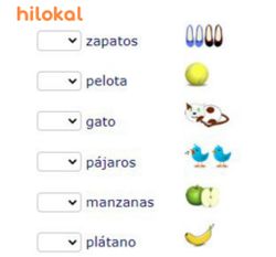 hilokal-notebook-image