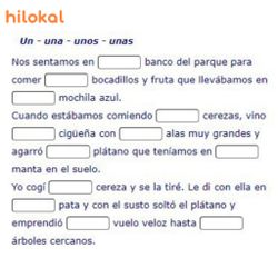 hilokal-notebook-image