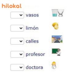 hilokal-notebook-image