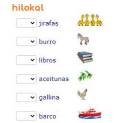 hilokal-notebook-image