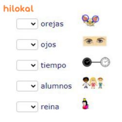 hilokal-notebook-image