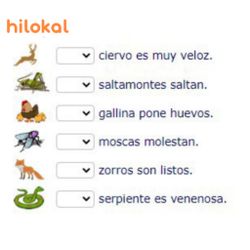 hilokal-notebook-image
