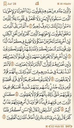 hilokal-notebook-image