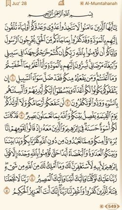 hilokal-notebook-image
