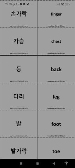hilokal-notebook-image