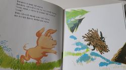 hilokal-notebook-image