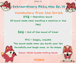 hilokal-notebook-image