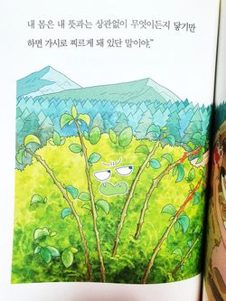 hilokal-notebook-image