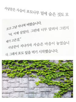hilokal-notebook-image