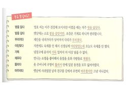 hilokal-notebook-image