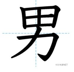 hilokal-notebook-image