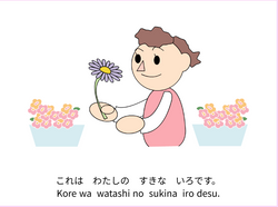 hilokal-notebook-image