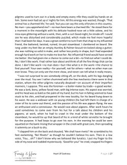 hilokal-notebook-image