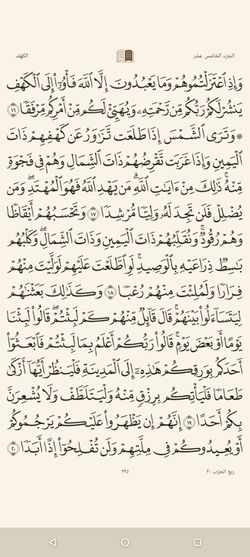 hilokal-notebook-image
