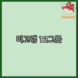 hilokal-notebook-image