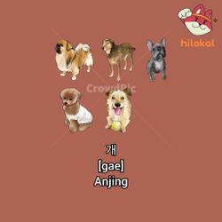 hilokal-notebook-image