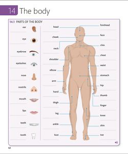 hilokal-notebook-image