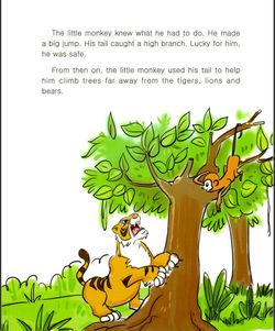 hilokal-notebook-image