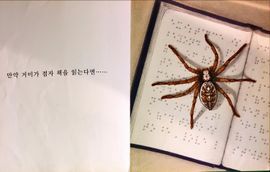 hilokal-notebook-image