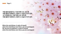 hilokal-notebook-image