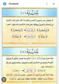 hilokal-notebook-image
