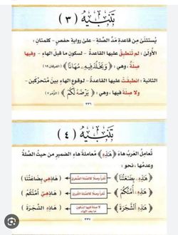 hilokal-notebook-image