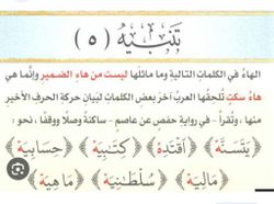 hilokal-notebook-image