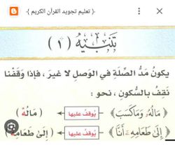hilokal-notebook-image