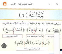 hilokal-notebook-image