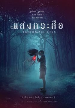 hilokal-notebook-image
