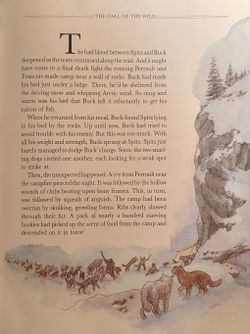 hilokal-notebook-image