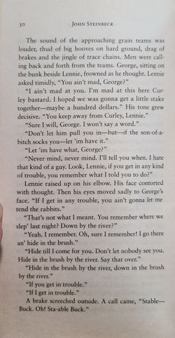 hilokal-notebook-image