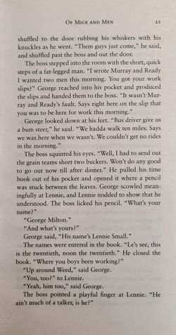 hilokal-notebook-image