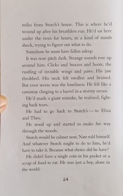 hilokal-notebook-image
