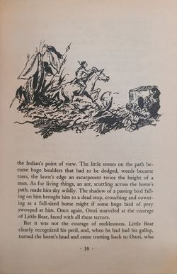 hilokal-notebook-image