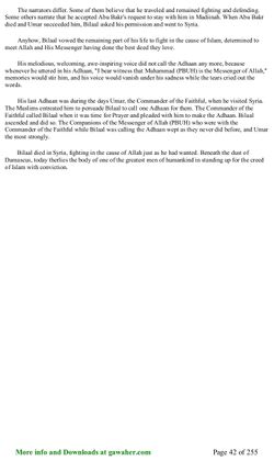 hilokal-notebook-image