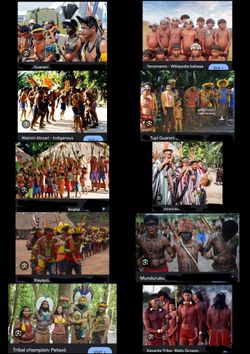 hilokal-notebook-image