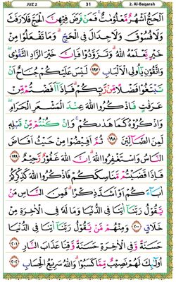 hilokal-notebook-image