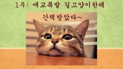 hilokal-notebook-image
