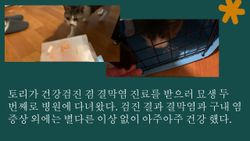 hilokal-notebook-image